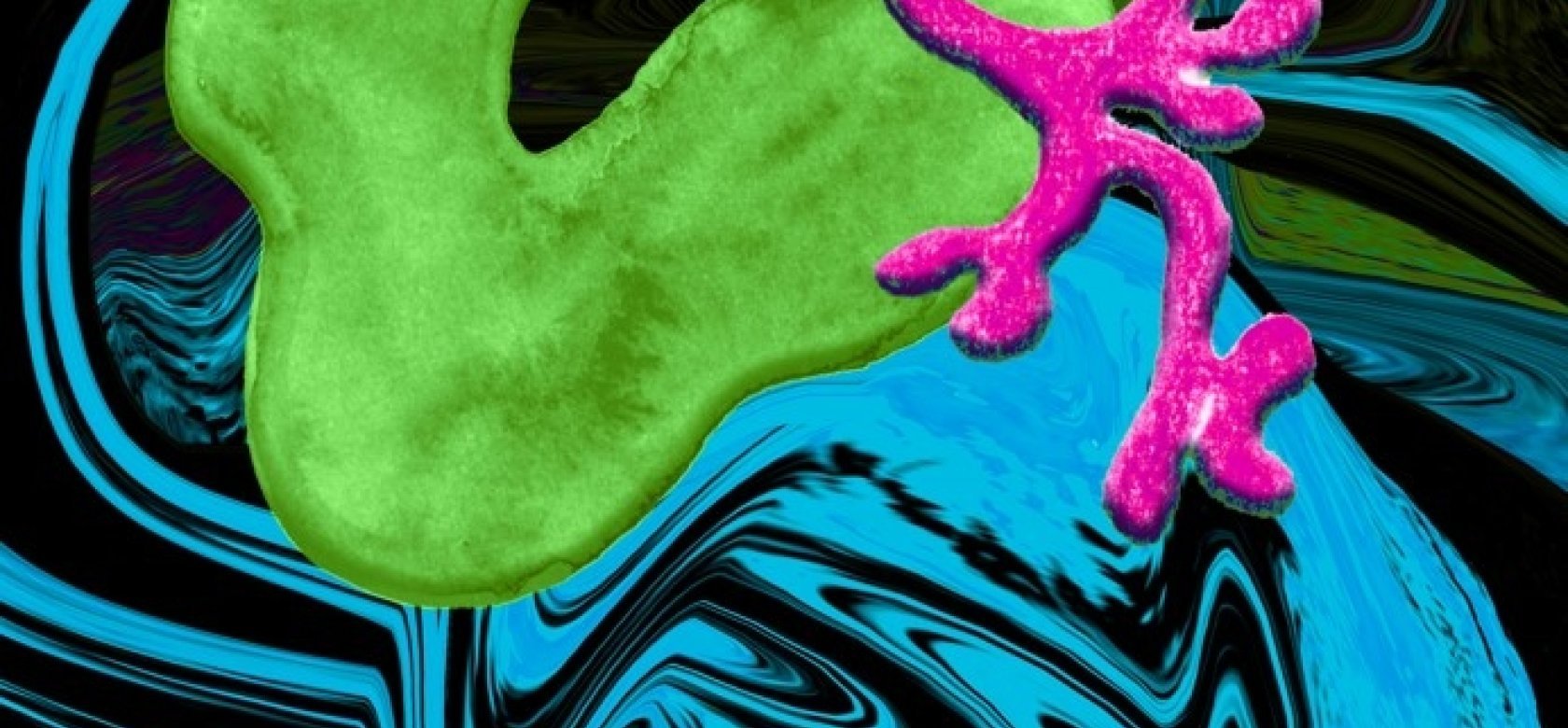 b28e52dc760fd6e2f476477960b0a5e4.jpg